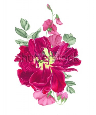 Sticker  Tulipes roses avec bourgeons