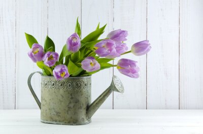 Sticker  Tulipes roses dans un arrosoir