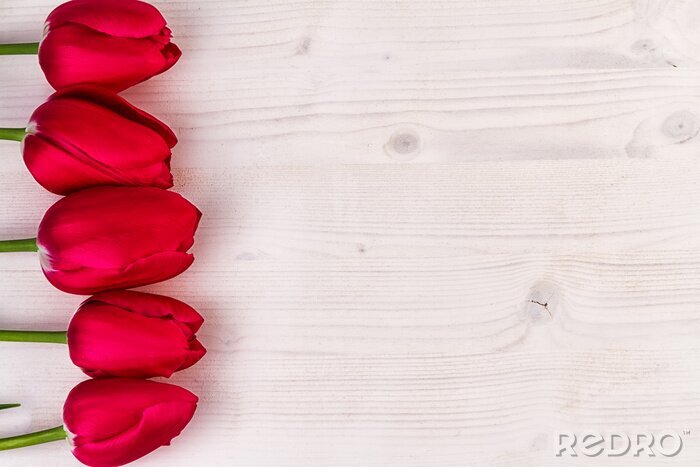 Sticker  Tulipes rouges sur un tableau blanc