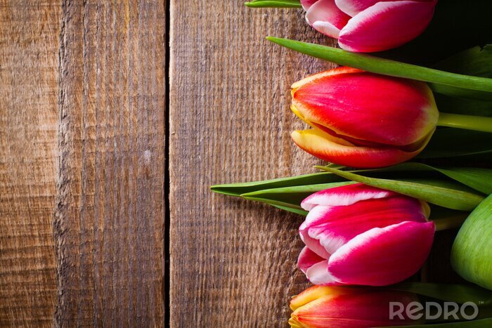 Sticker  Tulipes sur bois