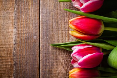 Sticker  Tulipes sur bois