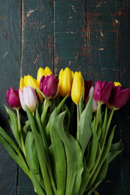 Sticker  Tulipes sur planches vert foncé