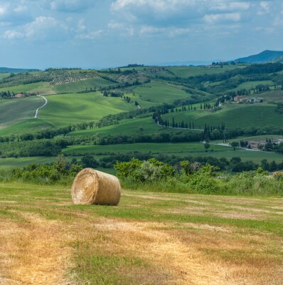 typical tuscan landscape