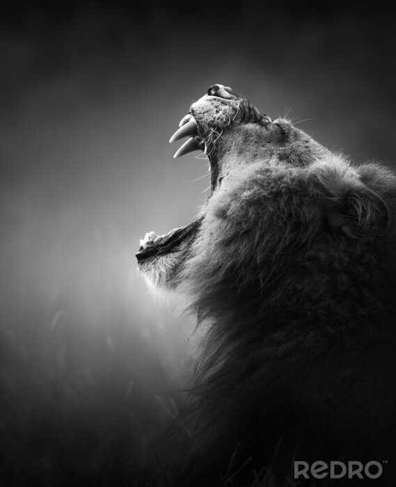 Sticker  Un animal dangereux