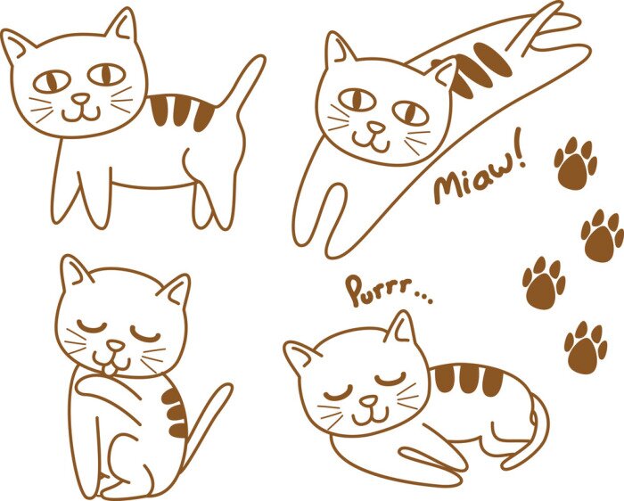 Sticker  Un bébé chat avec trois rayures sur le dos