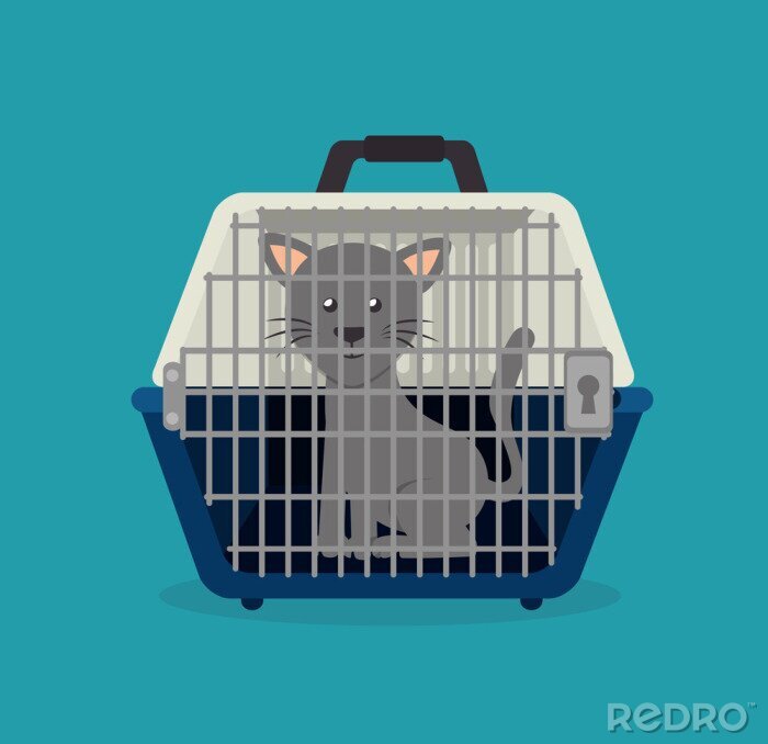 Sticker  Un chat dans une cage de transport blanche et bleu marine