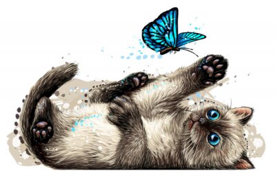 Sticker  Un chaton et un papillon bleu
