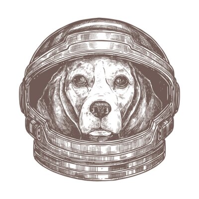 Sticker  Un chien en costume d'astronaute