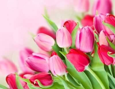 Sticker  Un gros bouquet de tulipes roses