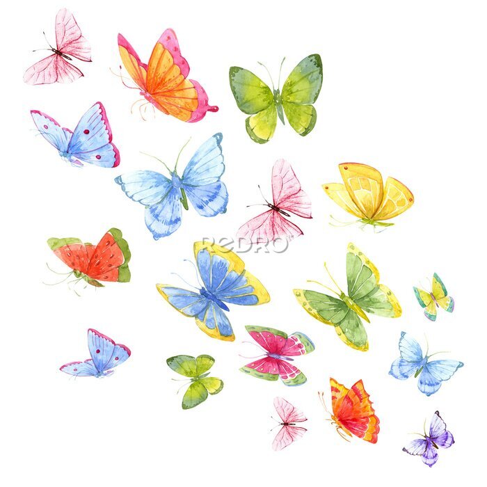 Sticker  Un groupe de papillons arc-en-ciel