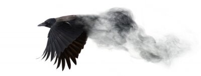 Sticker  Un oiseau volant se dissolvant en fumée