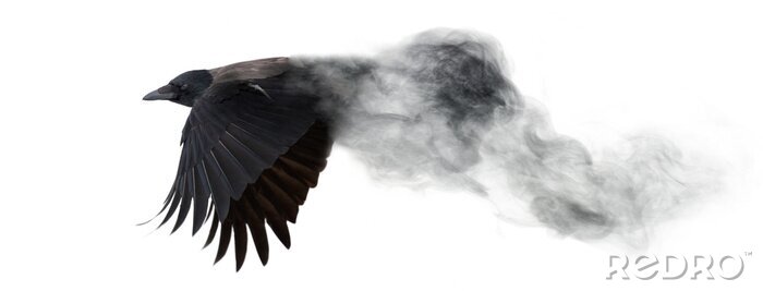 Sticker  Un oiseau volant se dissolvant en fumée