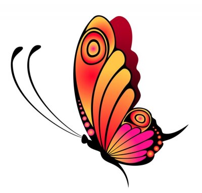 Un papillon aux ailes rose-orange aux graphismes minimalistes