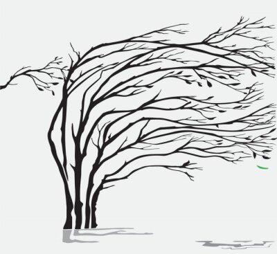 Sticker  Un saule dans un temps de tempête et de vent fort