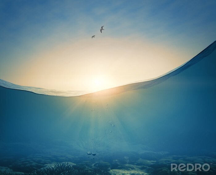 Sticker  Underwater background