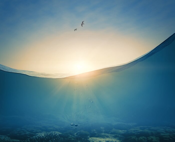 Sticker  Underwater background