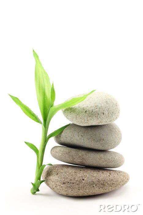 Sticker  Une branche de bambou appuyée contre un tas de pierres