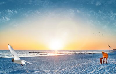 Une plage ensoleillée et une mouette