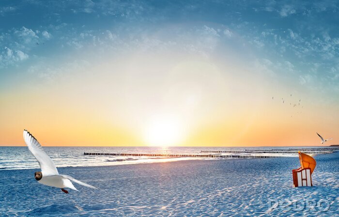 Sticker  Une plage ensoleillée et une mouette