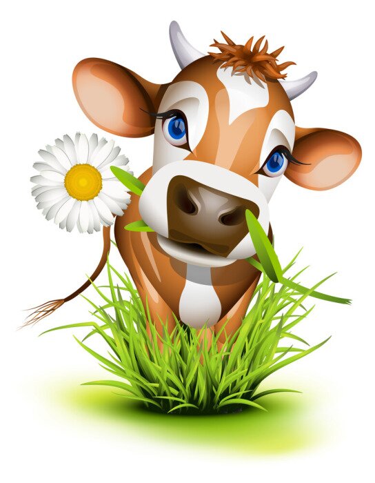 Sticker  Une vache brune debout dans l'herbe