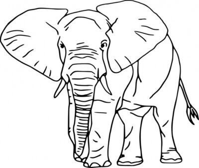 Sticker  Vecteur - contour éléphant isolé sur fond blanc