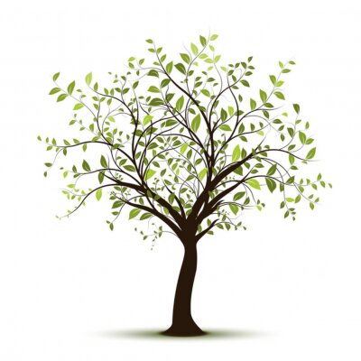 Sticker  vecteur série, arbre vectoriel blanc fond - arbre vert sur fond blanc