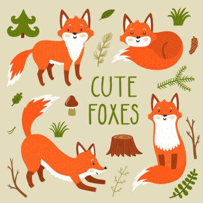 Sticker  Vecteur série de quatre renards mignons, des plantes forestières. Personnages de dessin animé drôle dessinés à la main. Peut être utilisé dans des affiches enfantines, carte, invitations et autres.