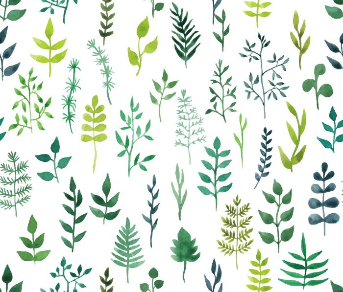 Sticker  Vecteur vert aquarelle floral seamless pattern.