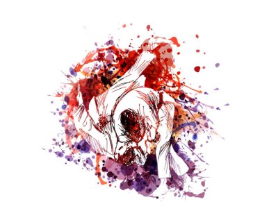 Sticker  Vector color illustration of judo fighters