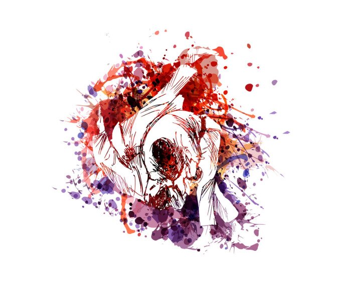 Sticker  Vector color illustration of judo fighters