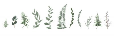 Sticker  Vector designer elements set collection of greeng leaves herbs in watercolor style.