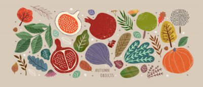 Sticker  Vector illustrations of autumn objects: fruits and vegetables, harvest, trees, leaves, plants, pumpkin, pomegranates, figs and nuts. Cute freehand drawings to create a poster or card.