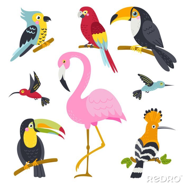 Sticker  Vector set of cute birds from jungle