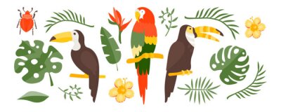 Sticker  Vector Tropical set of exotic elements in flat style hand drawn. Palm leaves, tropical plants, flowers, leaves, birds, fruits. Warm summer colors and colorful flat graphics. Stickers, travel