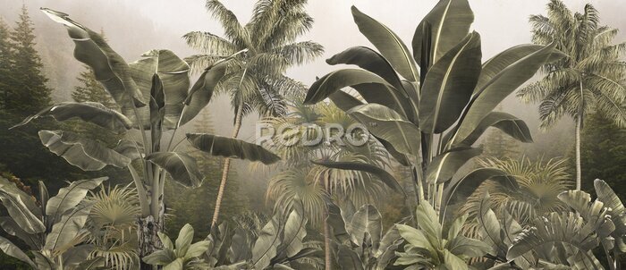 Sticker  Végétation 3D dans une jungle tropicale
