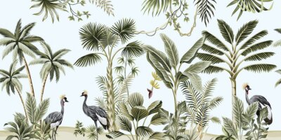 Vieux palmiers et oiseaux