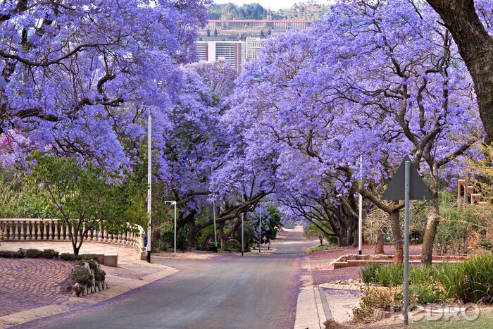 Sticker  Ville et nature