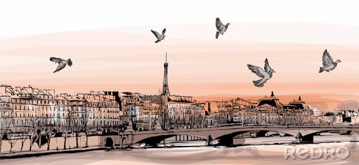 Sticker  Vue de Paris depuis &quot;Pont des Arts&quot;