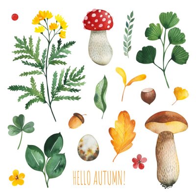 Sticker  Watercolor Autumn set with leaves,mushrooms,berries,branches,eggs,nuts,acorns,flowers and more. Perfect for wallpapers,stickers,scrapbooking,invitations,print