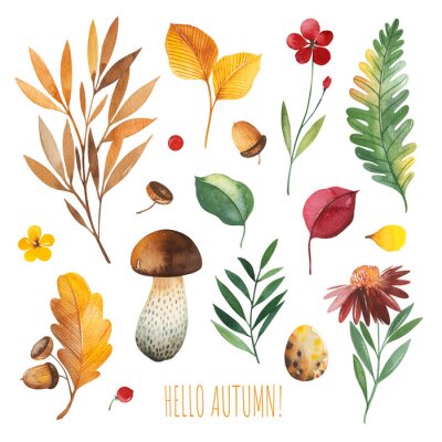 Sticker  Watercolor Autumn set with leaves,mushrooms,berries,branches,eggs,nuts,acorns,flowers and more. Perfect for wallpapers,stickers,scrapbooking,invitations,print