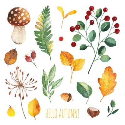Sticker  Watercolor Autumn set with leaves,mushrooms,berries,branches,oak leaf,nuts,acorns,flowers and more. Perfect for wallpapers,stickers,scrapbooking,invitations,print