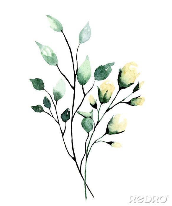 Sticker  Watercolor branch with green leaves and flowers roses. Hand painting floral illustration. Leaf, plant isolated on white background. 