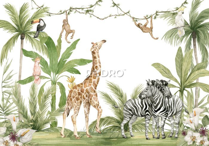 Sticker  Watercolor composition with African animals and natural elements. Giraffe, monkeys, zebras, palm trees, flowers. Safari wild creatures. Jungle, tropical illustration for nursery wallpaper