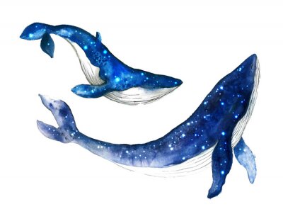 Sticker  Watercolor cute whale. Shark illustartion
