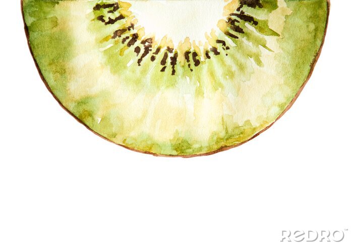 Sticker  Watercolor drawing of half of kiwi isolated on the white background. Illustration of kiwi.