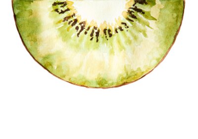 Sticker  Watercolor drawing of half of kiwi isolated on the white background. Illustration of kiwi.