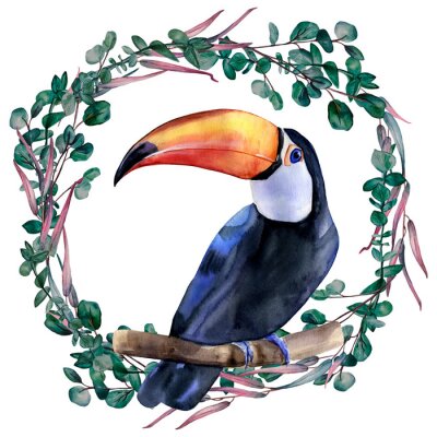 Watercolor hand painted colorful realistic illustration of toucan bird sitting on a branch inside eucalyptus wreath.