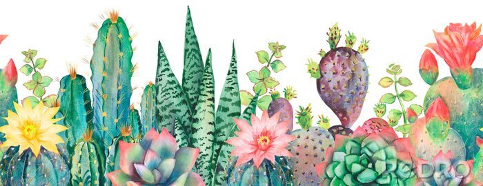 Sticker  Watercolor seamless border cactus pattern.