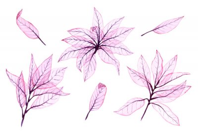 Sticker  Watercolor transparent leaves. Hand painted pink leaves perfect for card making and label. Illustration