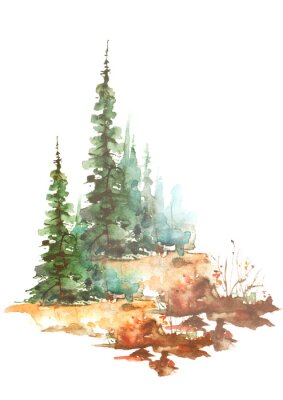 Sticker  Watercolor trees, forest, pine, green spruce, landscape. Summer forest landscape, bushes, wild grass, slope. Illustration made for a different design. Isolated on white background. Abstract paint